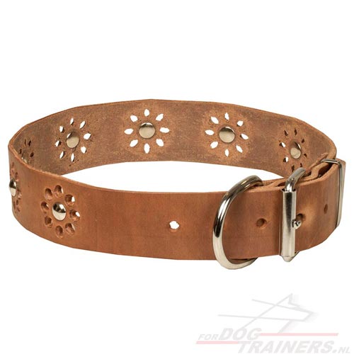 Lederen Honden Halsband met Stalen Vernikkelde Knoppen