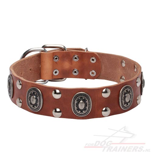 Honden Halsband van Leer met Corrosie Bestendigheid