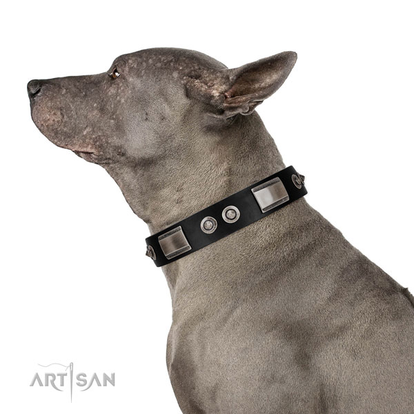 Thai Ridgeback brede hondenhalsband met zilveren studs