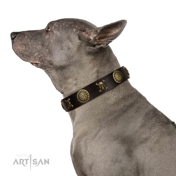 Thai Ridgeback hondenhalsband leer met studs