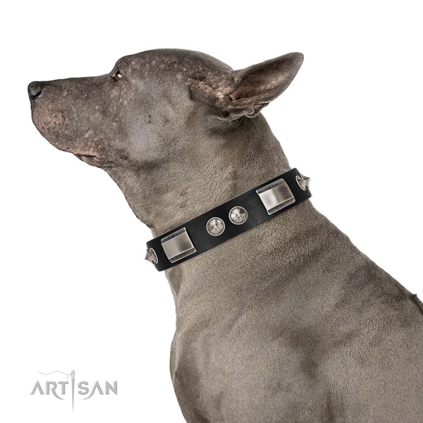 Thai Ridgeback hondenhalsband leer met studs