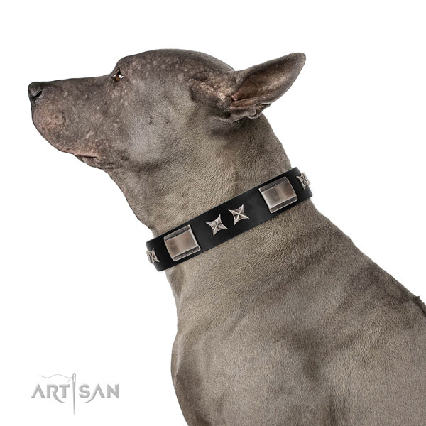 Thai Ridgeback hondenhalsband leer met studs