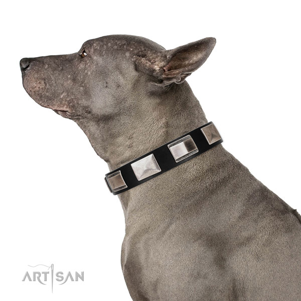 Thai Ridgeback hondenhalsband leer met studs