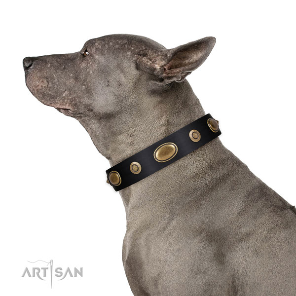 Thai Ridgebackdog hondenhalsband leer met studs