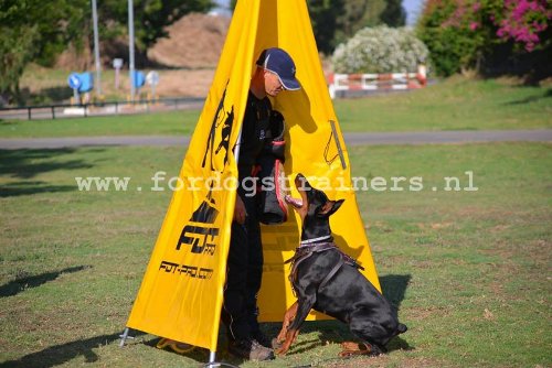 Hindernis voor Schutzhund