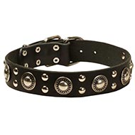 Lederen Honden Halsband 'Rock n Roll' Lederen Honden Halsband 'Rock n Roll'