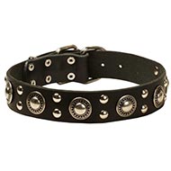 Lederen Honden Halsband 'Rock n Roll'