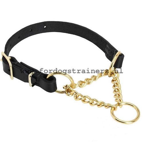 Honden Martingale Halsband