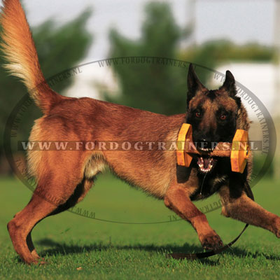 Durzame Honden Training Dumbbell