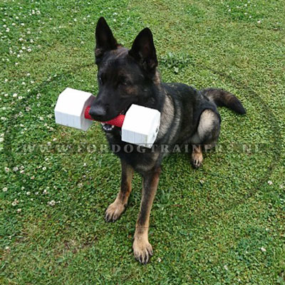 Durzame Honden Training Dumbbell