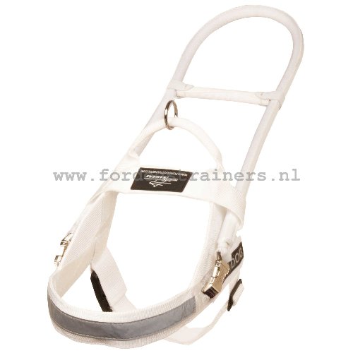 Hulp Hondentuig van Nylon