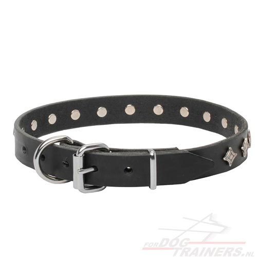 Honden Halsband van Leer met Corrosie Bestendige
Fittingen