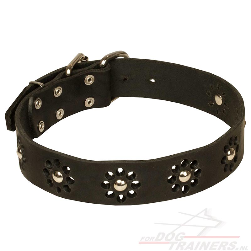 Doe een poging vroegrijp overal Halsband hond Echte Leer | Sint- Bernard artikelen ☝ - €57.4