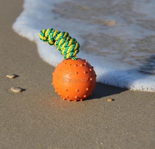 Oranje rubber bal voor hond