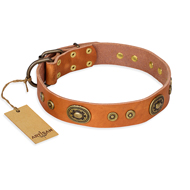 Tan lederen hondenhalsband Tan leuke lederen hondenhalsband