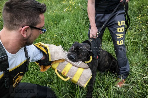 Hondentrainer en fokker van Elite Bandog Sergey Beresowski van SBK9 Duitsland, gebruikt  ook onze beschermende bijtmouw