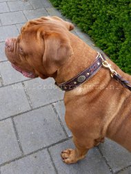 Mooie Gevlochten Nappa Halsband voor Bordeaux Dog