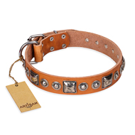 Honden halsband "Era of Future" FDT Artisan Honden halsband "Era of Future" FDT Artisan