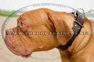 Brede Leren Halsband voor Bordeaux Dog