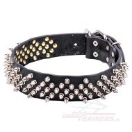 Spikes halsband voor stijlvolle wandeling.