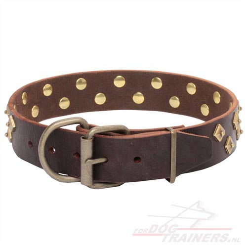 Versierde Lederen Honden Halsband