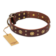 Honden halsband versierd met studs