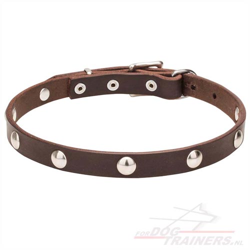 Versierde Lederen Honden Halsband