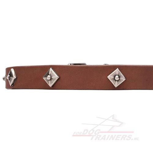 Exclusive Lederen Honden Halsband