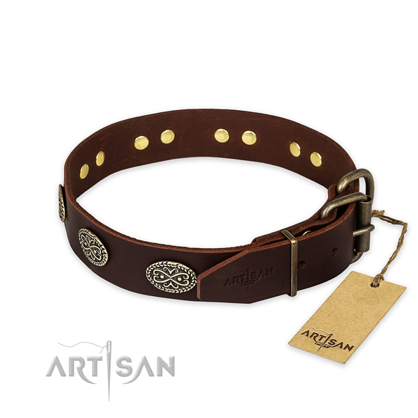 Hondenhalsband bruin van leer met studs