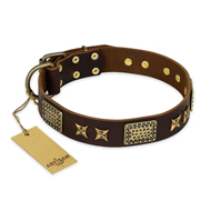 Zacht leer halsband voor honden versierd met bronzen studs - Klik op de afbeelding om het venster te sluiten