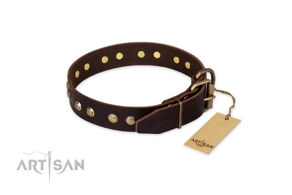 Hondenhalsband bruine van leer met studs