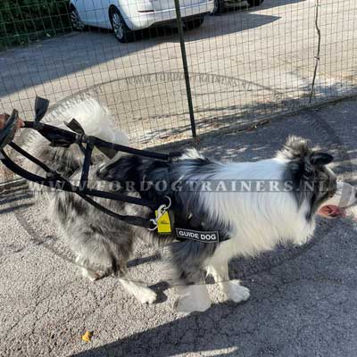  Harnas voor blindengeleidehond