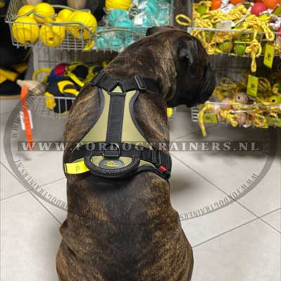 Nylon Tuig voor Hond