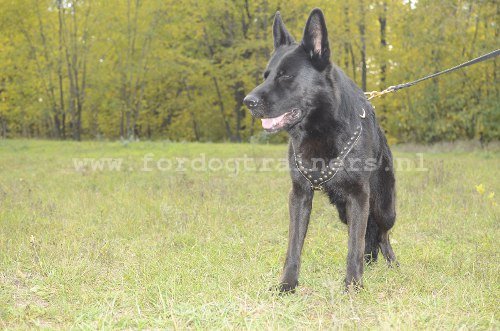 Lederen Hondentuig Stoer Design voor Duitse Herder