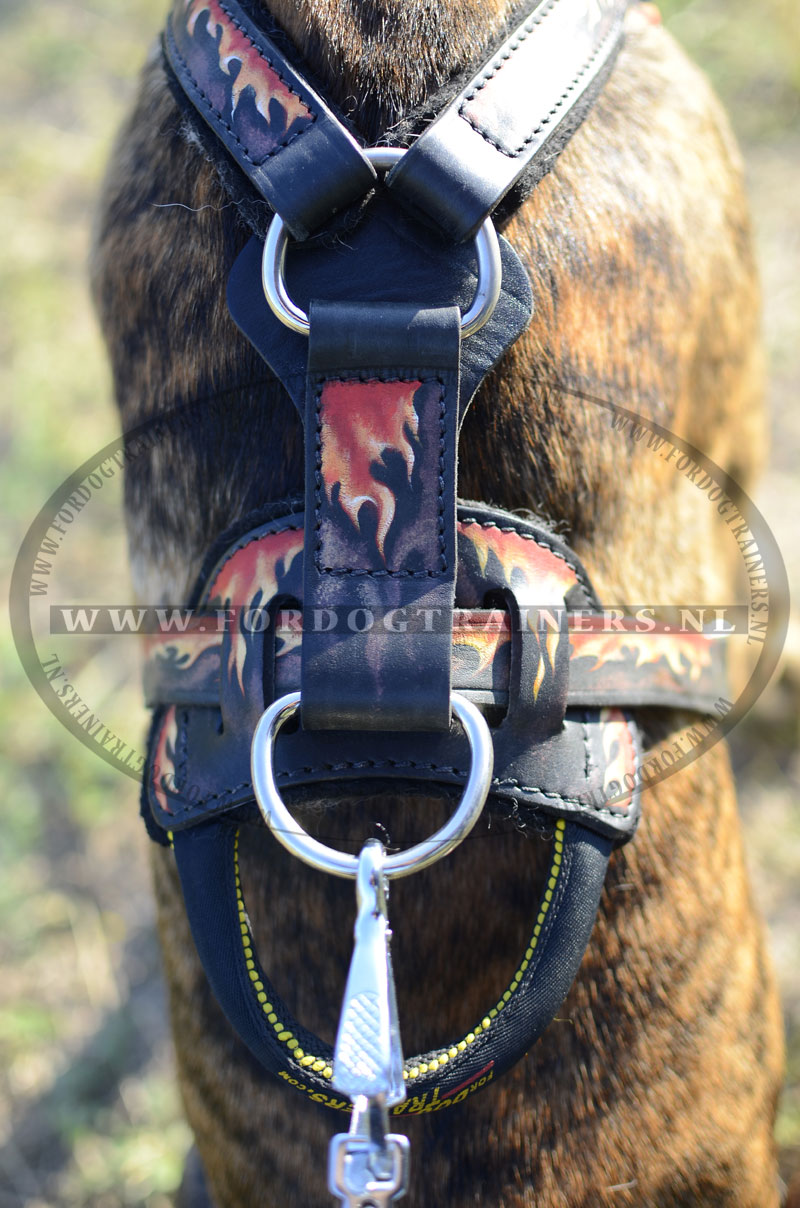 Leren Hondentuig voor Tranings Duitse dog - €220.7