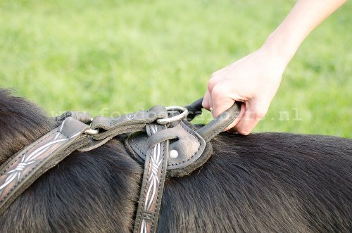 Zwarte
Hondentuig tegen trekken