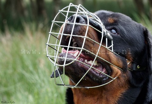 Universele muilkorf ziet
heel goed op Rottweiler