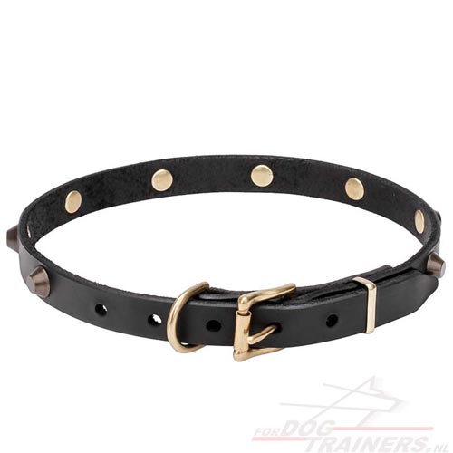 Versierde Lederen Honden Halsband