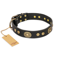 Glamorous hondenhalsband van leer met studs