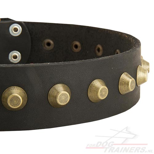 Duurzame product van leer | Sterke hondenhalsband