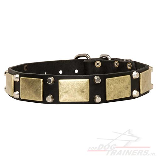 Interessante halsband met decoraties