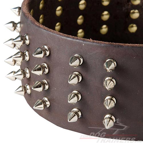 Halsband met Leuke Spikes