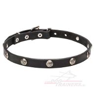 Leren halsband met nikkel Medaillons