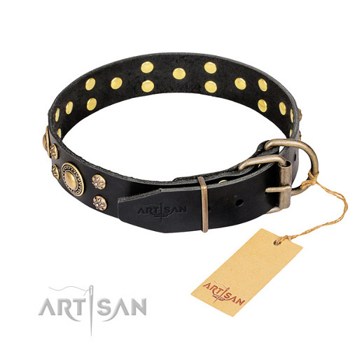 Lederen Honden Halsband met Messing
Versieringen