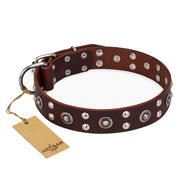 Zacht leer hondenhalsband met zilverachtige studs