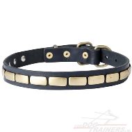 Exclusieve Messing Lederen Honden Halsband Exclusieve Messing Lederen Honden Halsband