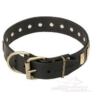 Lederen Honden Halsband met Platen van Messing