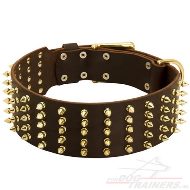 Hondenhalsband leer met Messing Studs Hondenhalsband leer met Messing Studs