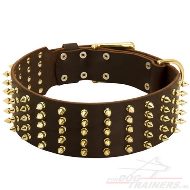 Hondenhalsband leer met Messing Studs [C82##1106 Halsband met Spikes]