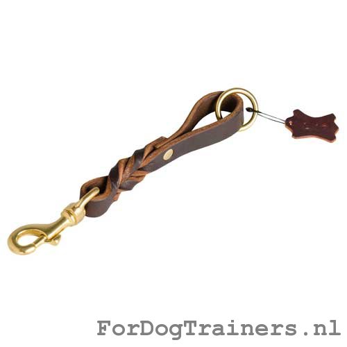 Korte
hondenriem voor wandelen met accessoires van pure messing